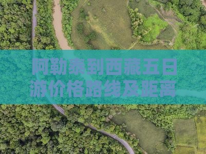 阿勒泰到西藏五日游