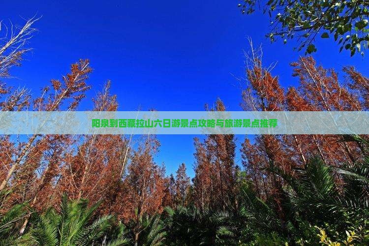 阳泉到西藏色季拉山六日游