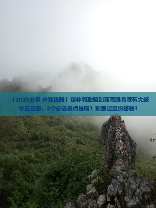 锡林郭勒盟到西藏雅鲁藏布大峡谷五日游