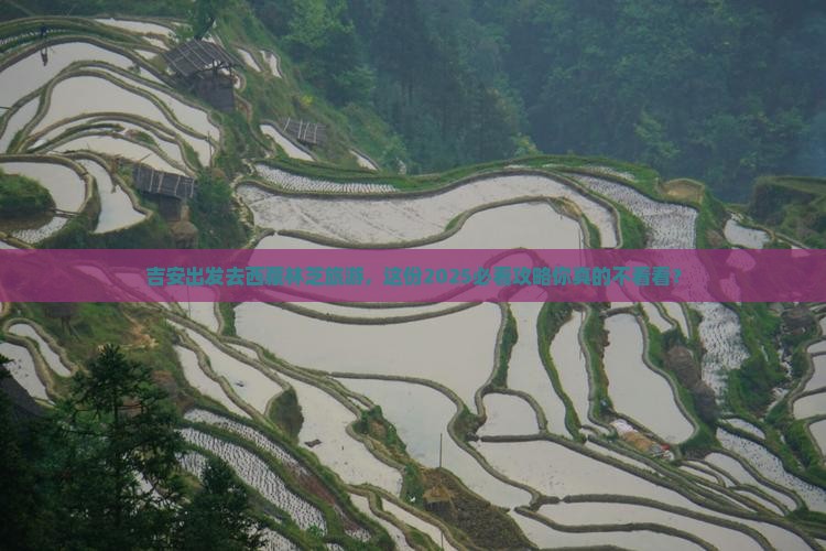 吉安去西藏林芝旅游