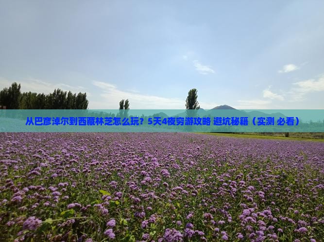 巴彦淖尔到西藏林芝哪里玩
