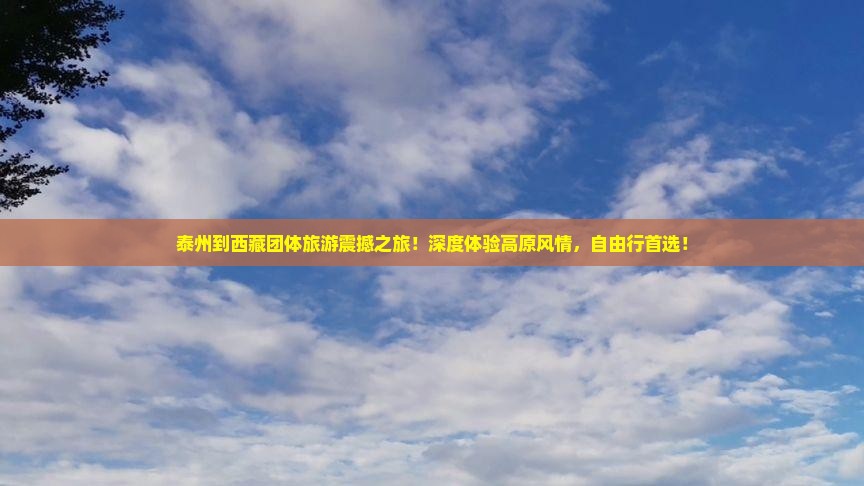 泰州到西藏团体旅游