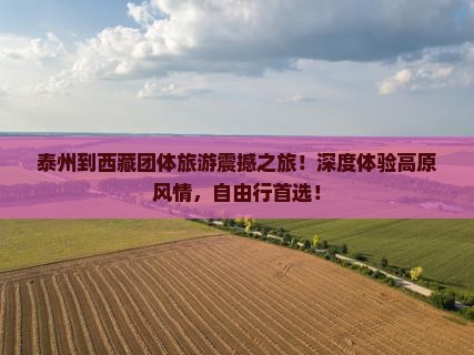 泰州到西藏团体旅游