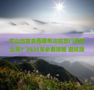 文山去西藏布达拉宫门票