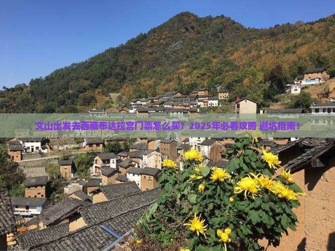 文山去西藏布达拉宫门票