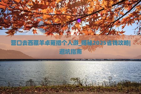 营口去西藏羊卓雍措个人游