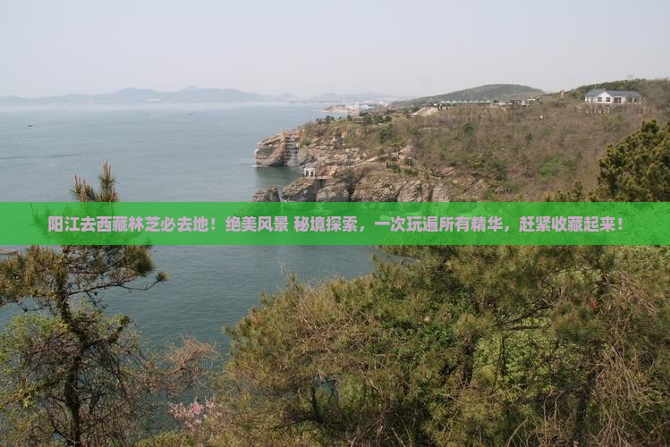 阳江去西藏林芝必去地