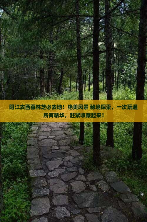 阳江去西藏林芝必去地