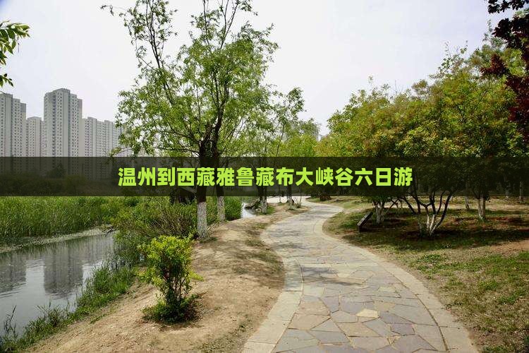 温州到西藏雅鲁藏布大峡谷六日游
