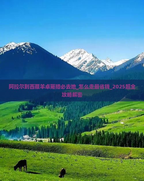 阿拉尔到西藏羊卓雍措必去地