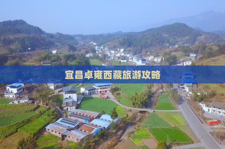 宜昌去西藏羊卓雍措一日