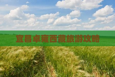 宜昌去西藏羊卓雍措一日