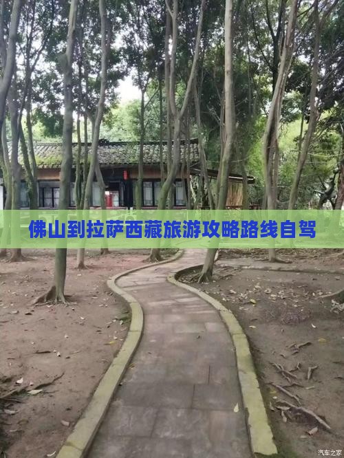 佛山到西藏拉萨旅游