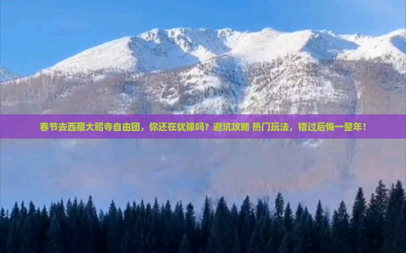 春节去西藏大昭寺自由团