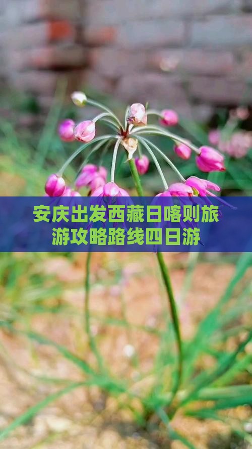 安庆去西藏日喀则四日游 安庆去西藏日喀则四日游