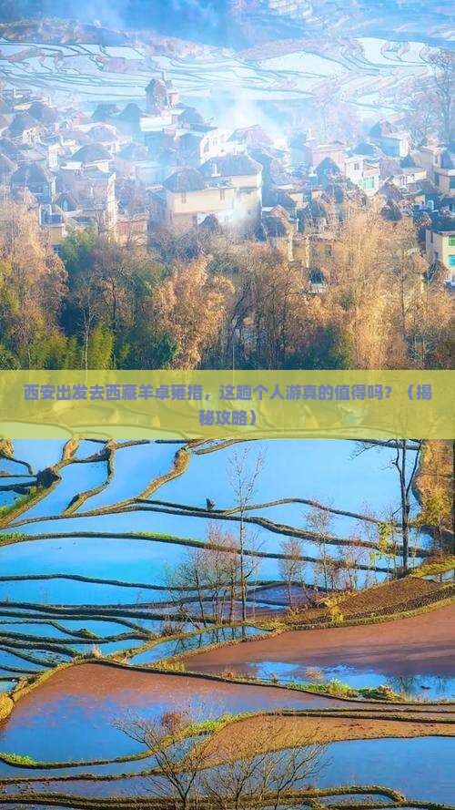 西安到西藏羊卓雍措个人游