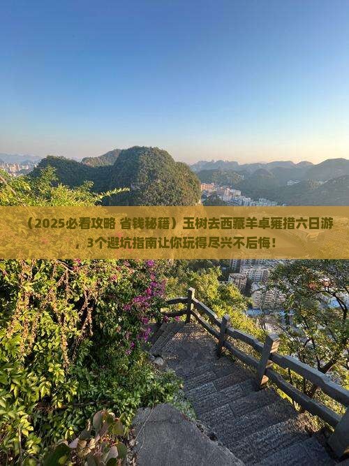 玉树去西藏羊卓雍措六日游