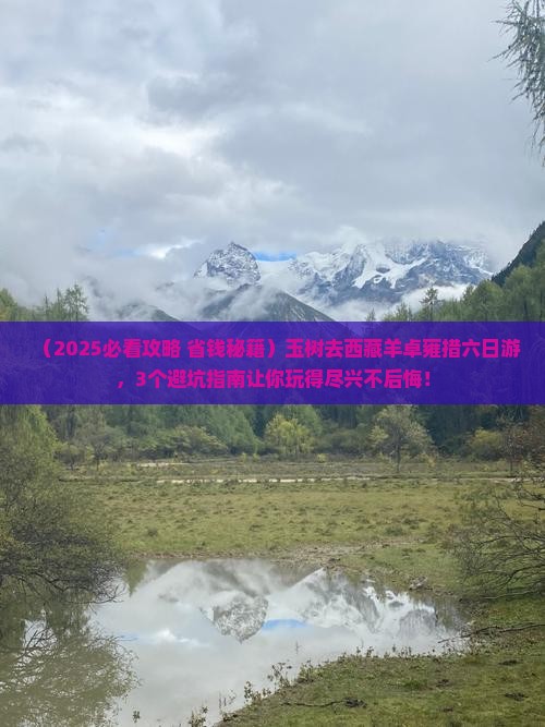 玉树去西藏羊卓雍措六日游