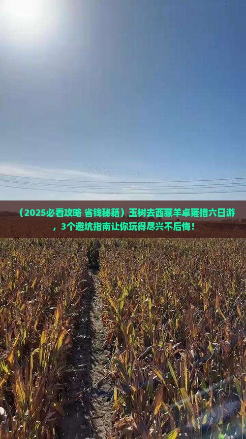 玉树去西藏羊卓雍措六日游