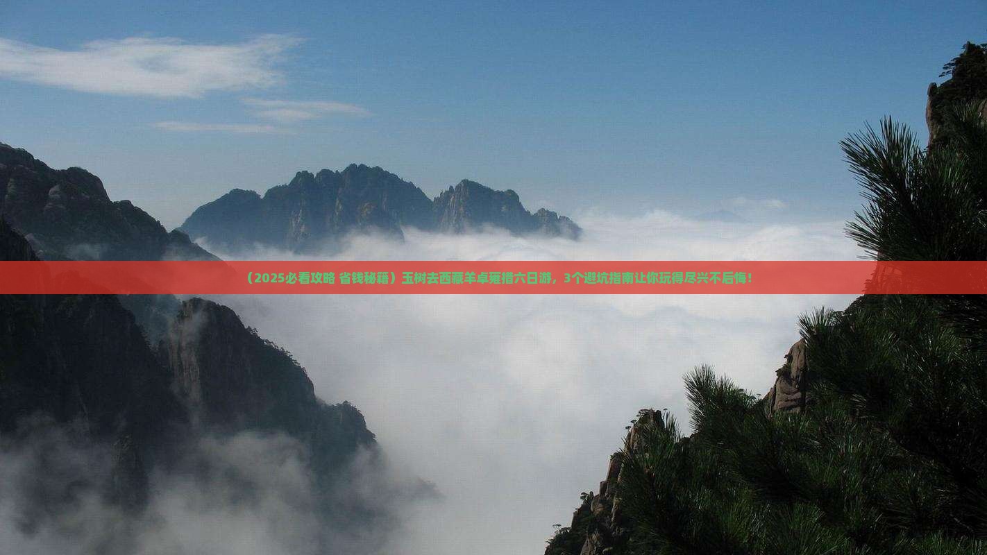 玉树去西藏羊卓雍措六日游