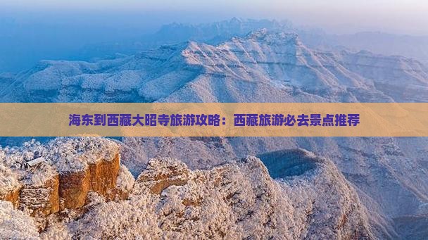 海东到西藏大昭寺旅游
