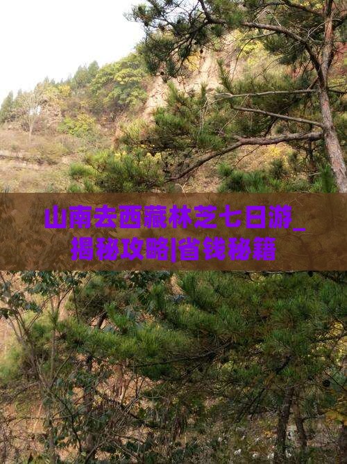 山南去西藏林芝七日游