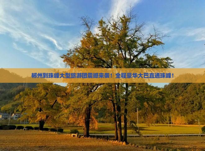 郴州到西藏珠峰大本营大型旅游团
