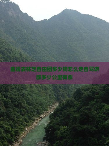 曲靖去西藏林芝自由团