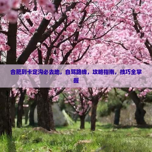 合肥到西藏卡定沟必去地