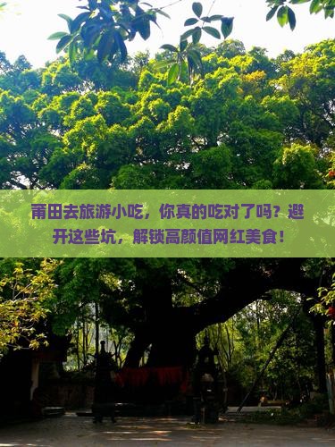莆田去西藏旅游小吃