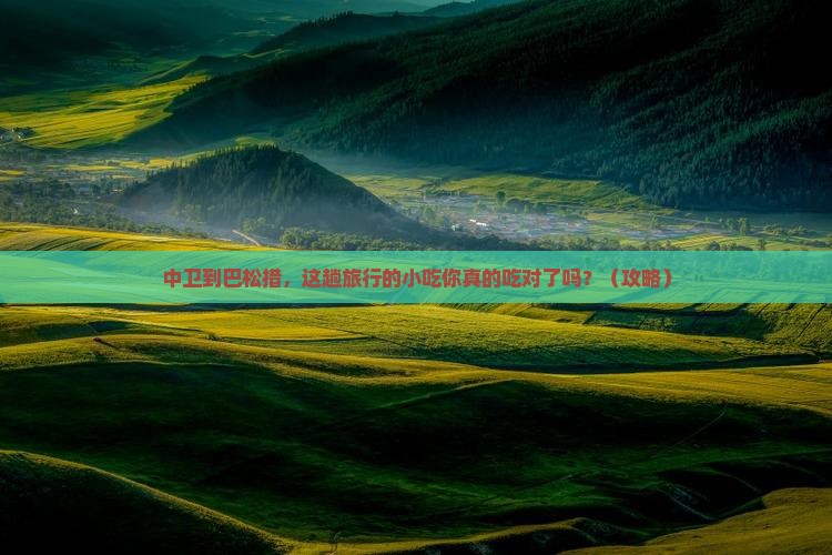 中卫到西藏巴松措旅游小吃