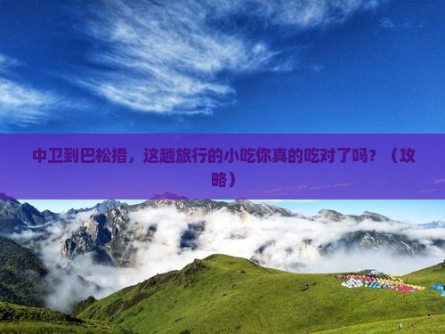 中卫到西藏巴松措旅游小吃