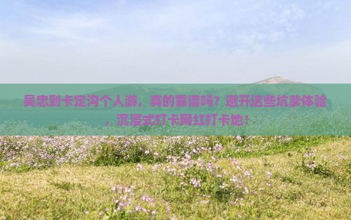 吴忠到西藏卡定沟个人游