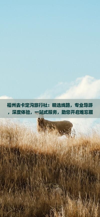 福州去西藏卡定沟旅行社