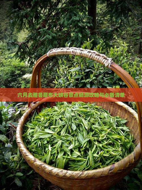 六月去雅鲁藏布大峡谷景点畅游攻略与必备清单