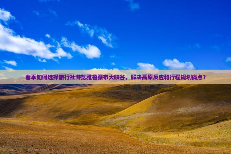 春季如何选择旅行社游览雅鲁藏布大峡谷，解决高原反应和行程规划痛点？