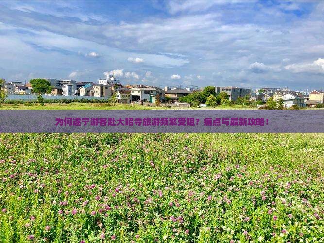 为何遂宁游客赴大昭寺旅游频繁受阻？痛点与最新攻略！