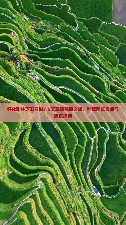怀化到林芝五日游？5天玩转高原之旅，种草网红景点与避坑指南