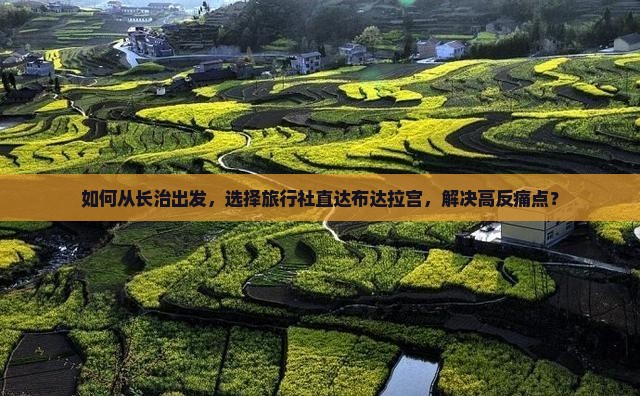 如何从长治出发，选择旅行社直达布达拉宫，解决高反痛点？