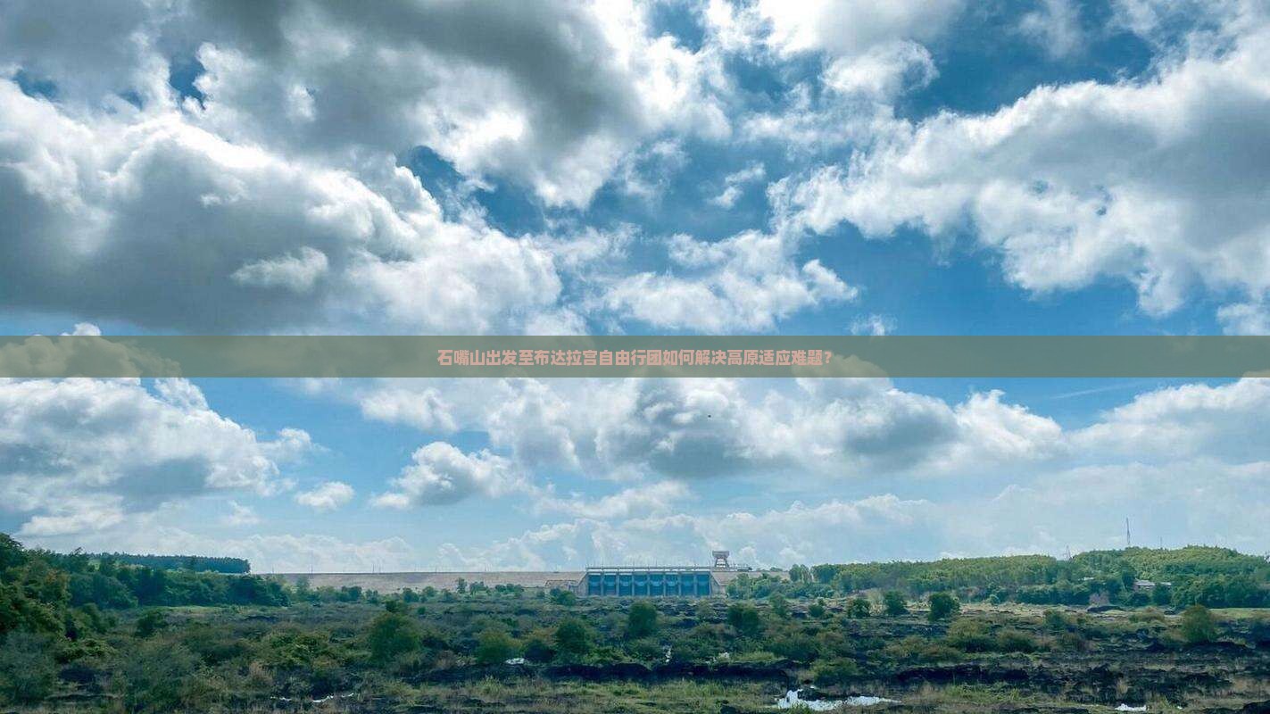 石嘴山出发至布达拉宫自由行团如何解决高原适应难题？