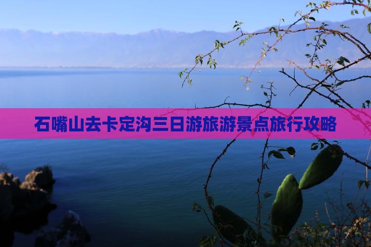 石嘴山去卡定沟三日游旅游景点旅行攻略