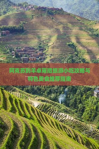 阿克苏到羊卓雍措旅游小吃攻略与特色美食推荐指南