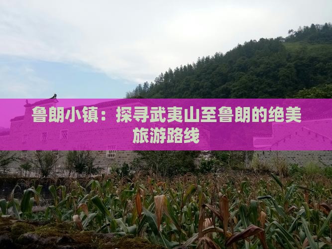 鲁朗小镇：探寻武夷山至鲁朗的绝美旅游路线