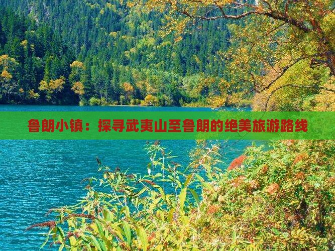 鲁朗小镇：探寻武夷山至鲁朗的绝美旅游路线