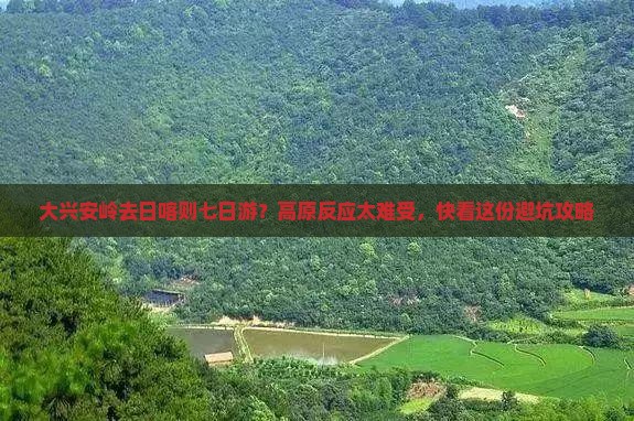 大兴安岭去日喀则七日游？高原反应太难受，快看这份避坑攻略