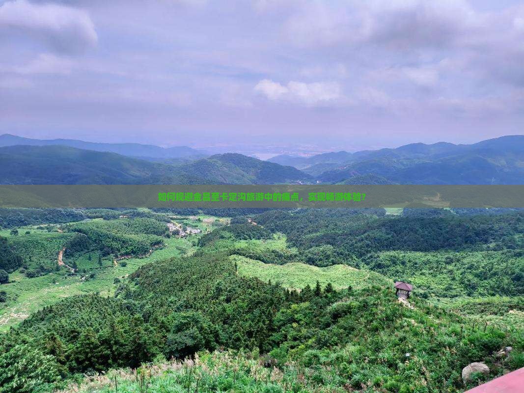 如何规避金昌至卡定沟旅游中的痛点，实现畅游体验？