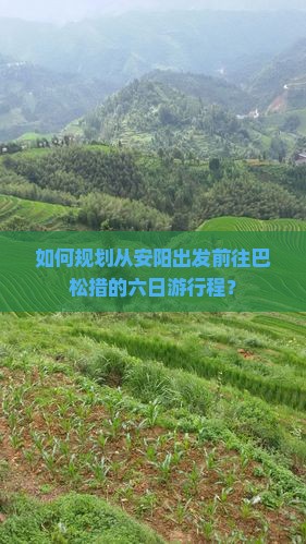 如何规划从安阳出发前往巴松措的六日游行程？