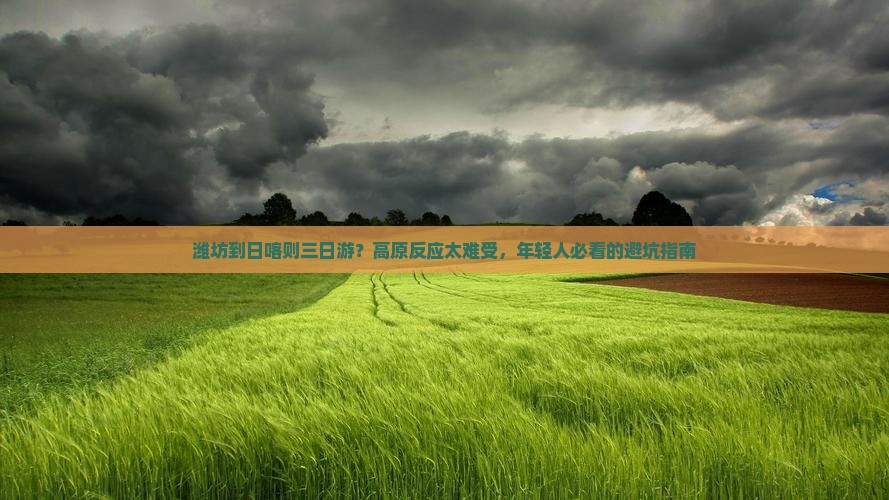 潍坊到日喀则三日游？高原反应太难受，年轻人必看的避坑指南