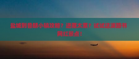 盐城到鲁朗小镇攻略？进藏太累？试试这波路书+网红景点！