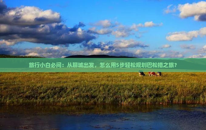 旅行小白必问：从聊城出发，怎么用5步轻松规划巴松措之旅？